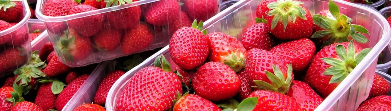 На Закарпатті відзначені рекордні ціни на полуницю