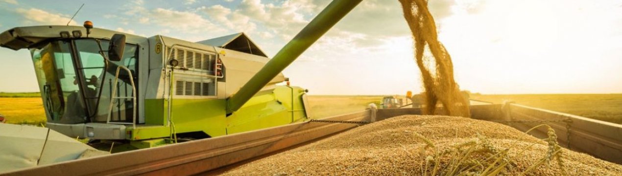 У першій половині 2021 року транспортування зерна залізницею скоротилося на 30%