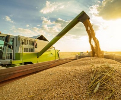 У першій половині 2021 року транспортування зерна залізницею скоротилося на 30%