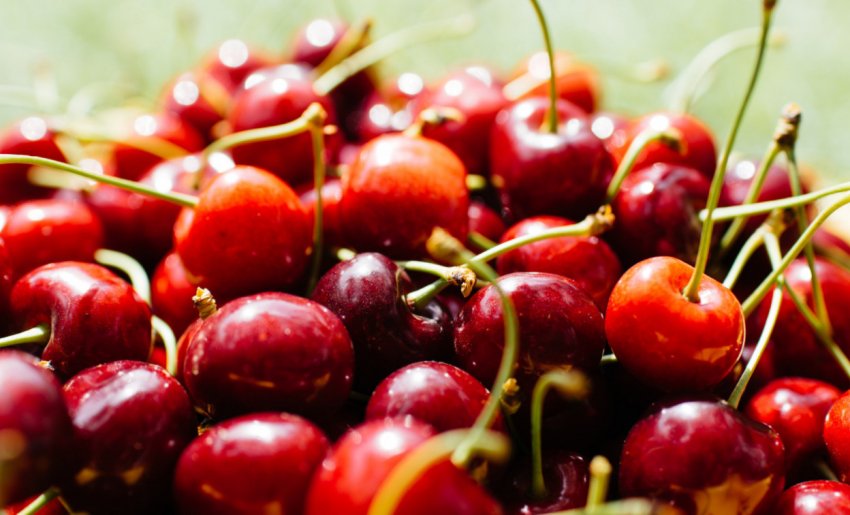 Ціни на першу сезонну вишню Ціни на першу сезонну вишню