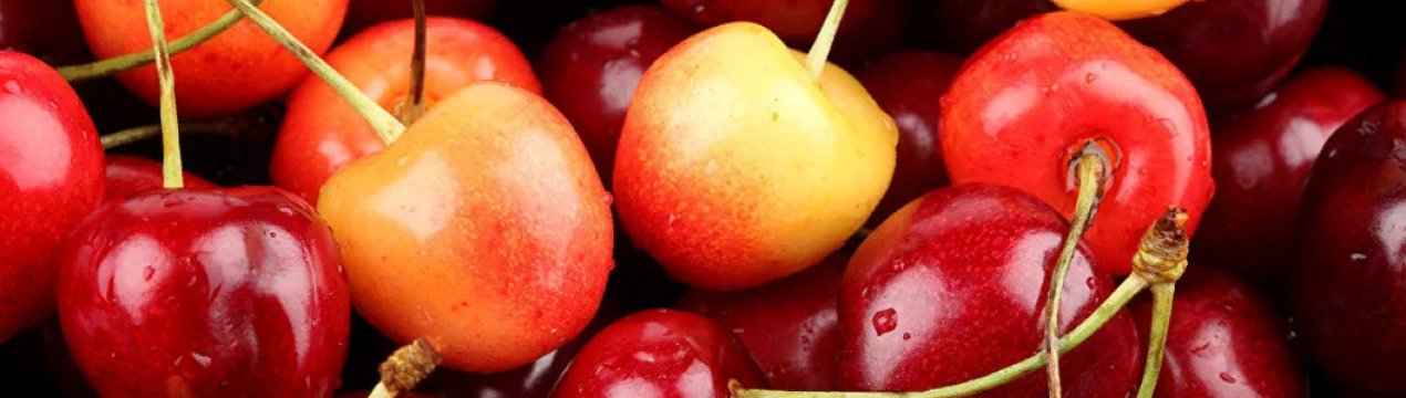 Ціни на першу в сезоні вишню б'ють всі рекорди