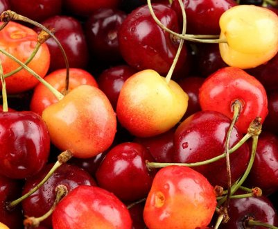 Ціни на першу в сезоні вишню б'ють всі рекорди