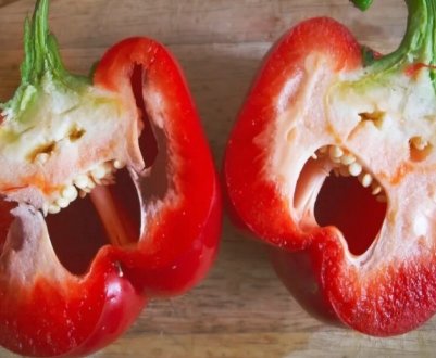 Нове відкриття вчених: овочі здатні відчувати стрес