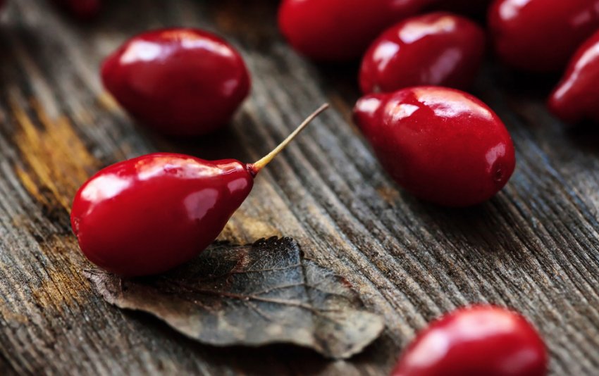 Пиво з ягодами кизилу Пиво з ягодами кизилу