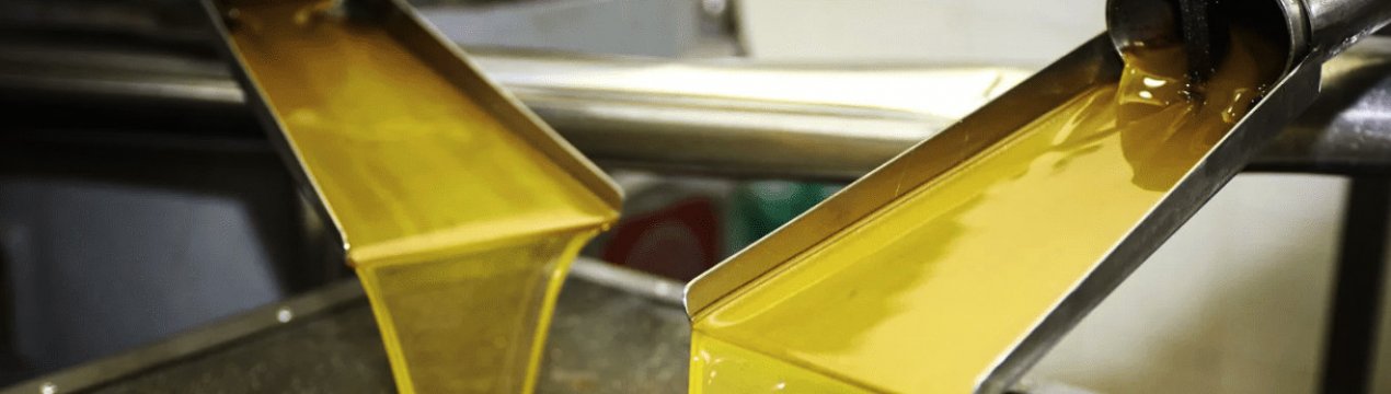 В Хмельницькій області з'явиться інноваційний завод з виробництва соняшникової олії