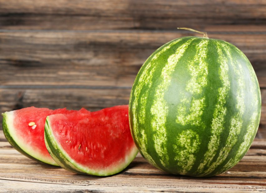 Виведення нового сорту кавуна Виведення нового сорту кавуна