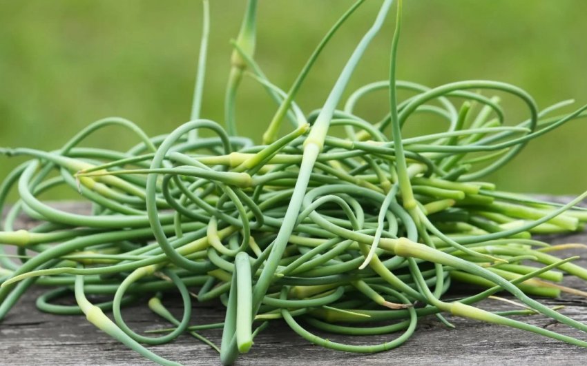 Часникові стріли