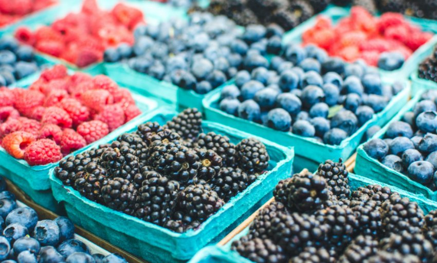 Експорт ягід Експорт ягід