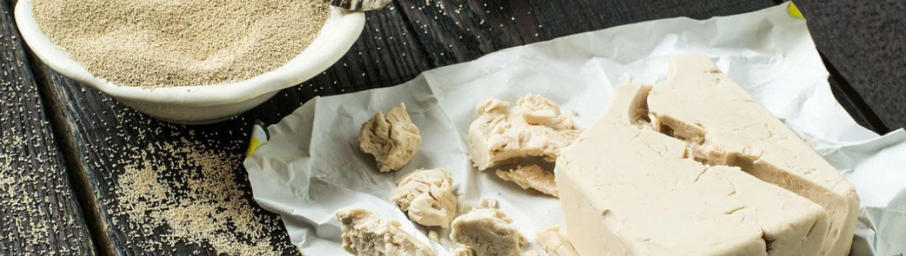 что нельзя поливать дрожжами. Смотреть фото что нельзя поливать дрожжами. Смотреть картинку что нельзя поливать дрожжами. Картинка про что нельзя поливать дрожжами. Фото что нельзя поливать дрожжами