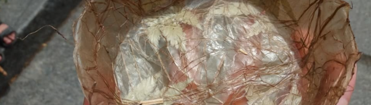 Біопосуд з конопелі — корисна ідея житомирського майстра