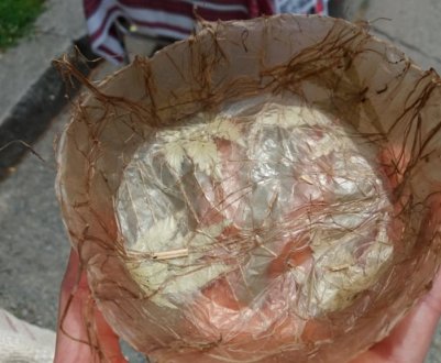 Біопосуд з конопелі — корисна ідея житомирського майстра