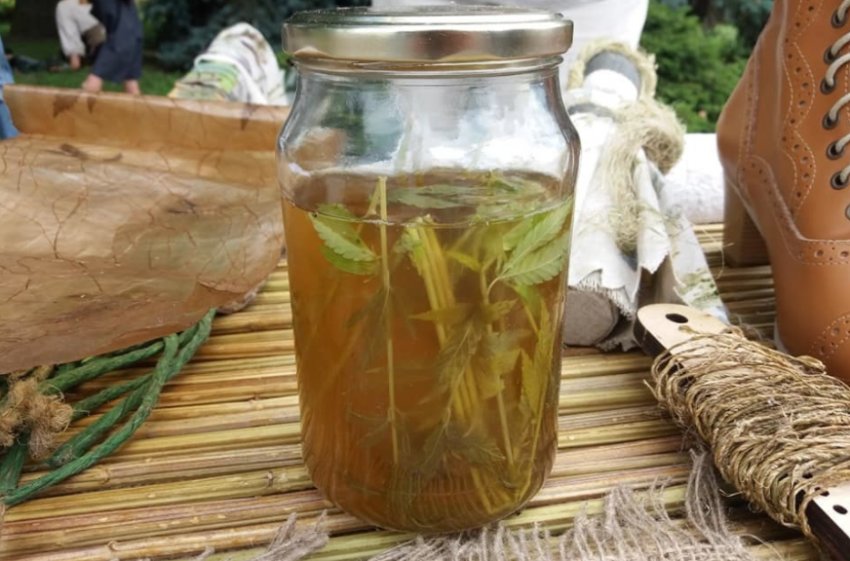 Біопосуда з коноплі