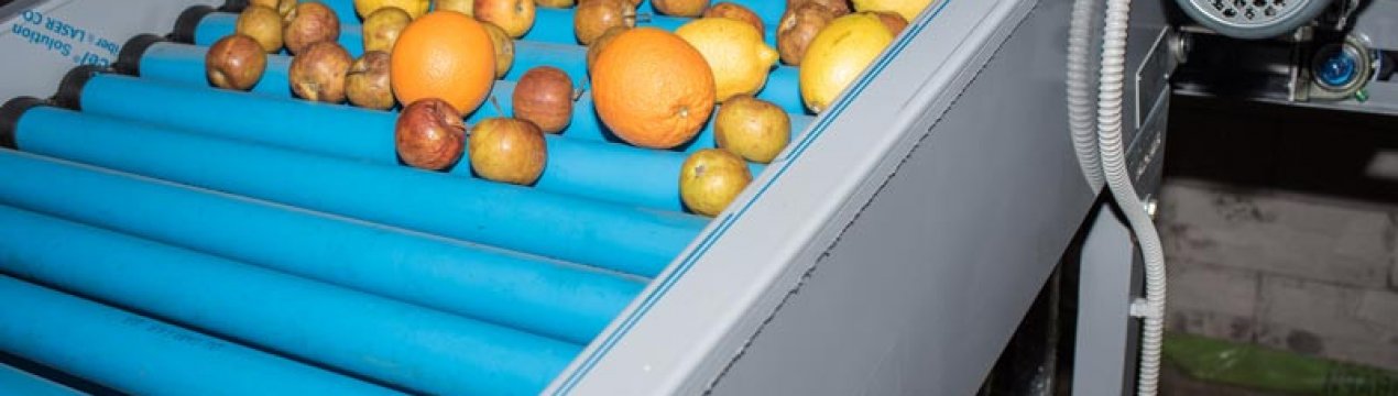 В Одеській області використовують найсучасніше обладнання для сортування фруктів
