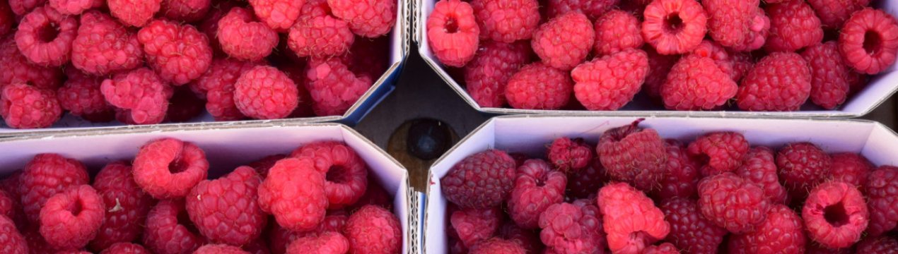 Малина стала ще доступнішою