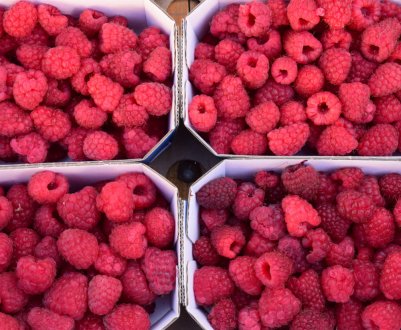 Малина стала ще доступнішою