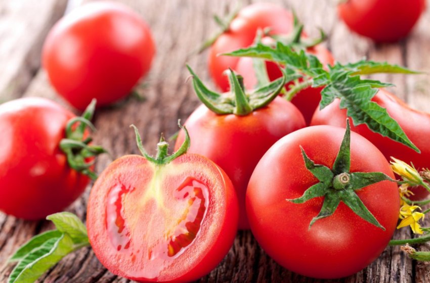 Користь та шкода помідорів Користь та шкода помідорів
