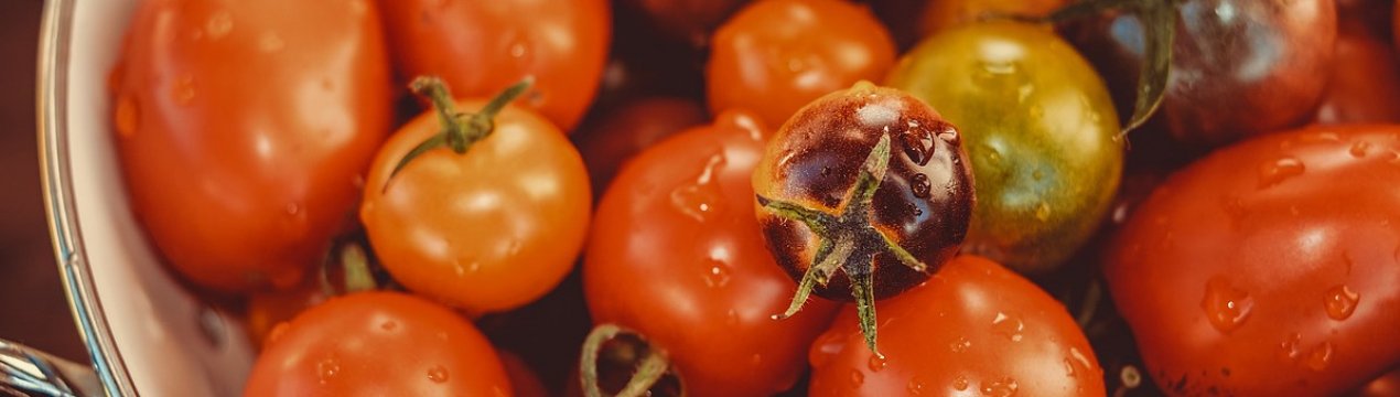 Томати корисні не для всіх