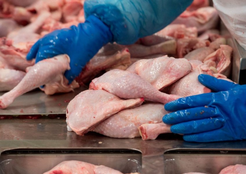 Курка українського виробництва Курка українського виробництва