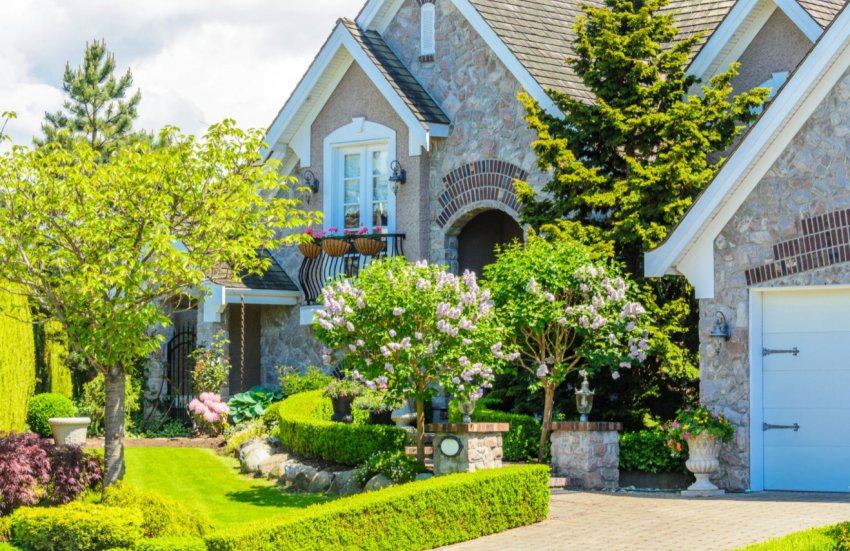 Дерева поруч з будинком Дерева поруч з будинком