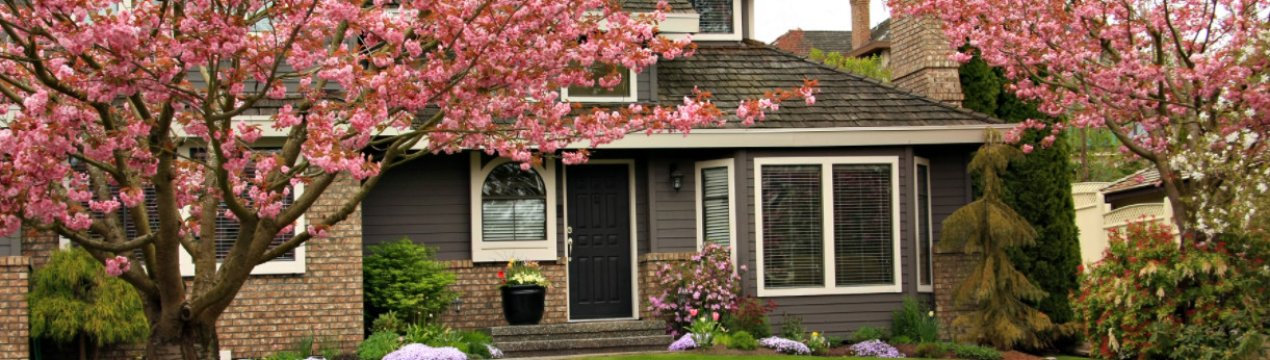 Руйнівна сила. Не саджайте ці дерева поруч з будинком!