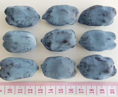 В Україні виростили найбільшу у світі ягоду калини