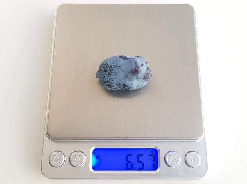 Рекордна ягода жимолости