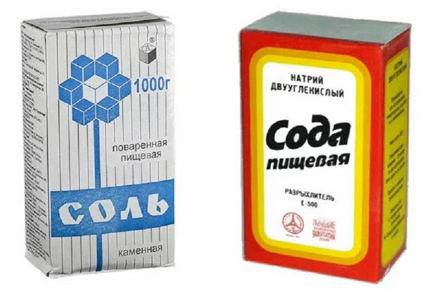 как подкормить огурцы солью. Смотреть фото как подкормить огурцы солью. Смотреть картинку как подкормить огурцы солью. Картинка про как подкормить огурцы солью. Фото как подкормить огурцы солью