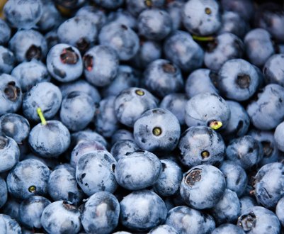Органічна чорниця українського виробництва виходить на ринок Малайзії