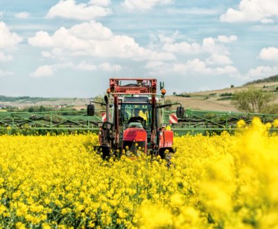 В Україні очікується рекордний врожай рапсу