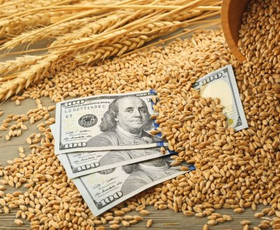 Українська пшениця подорожчала