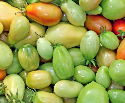 Коли потрібно терміново зібрати врожай: доступні способи дозрівання помідорів