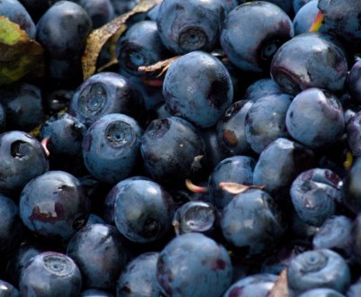 Названо найдорожчу ягоду в Україні