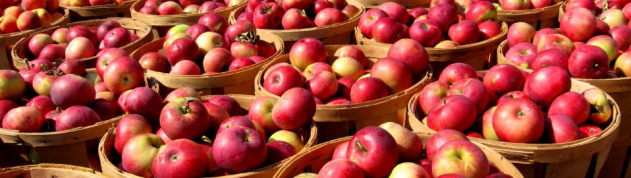 Ціни на яблука в поточному сезоні будуть рекордно високі