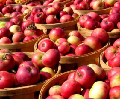 Ціни на яблука в поточному сезоні будуть рекордно високі