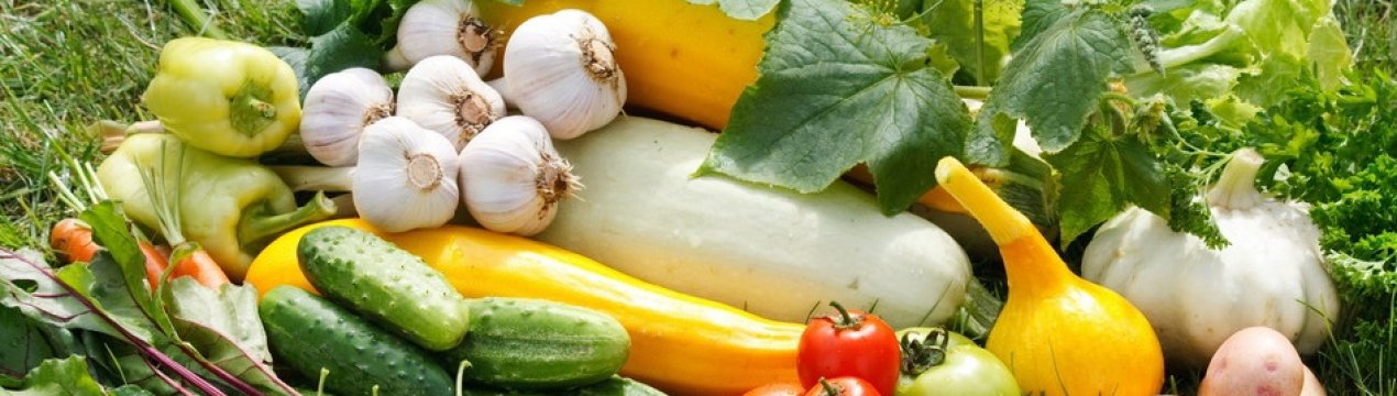 9 простих способів прискорити дозрівання овочевих культур