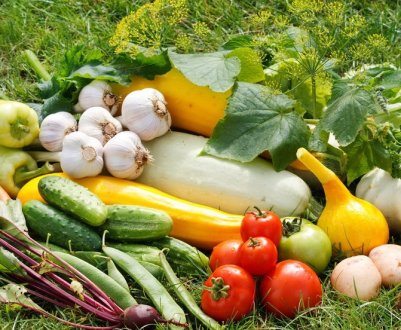 9 простих способів прискорити дозрівання овочевих культур