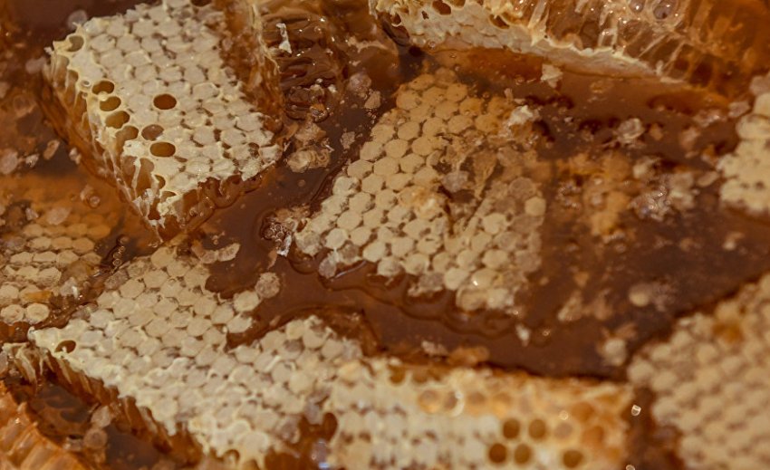 Експорт українського меду Експорт українського меду