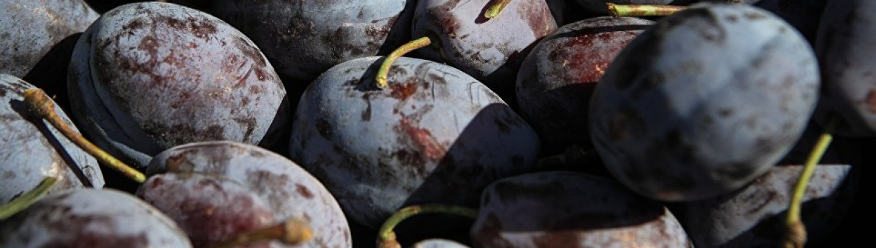 Українська слива стала доступнішою