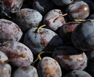 Українська слива стала доступнішою