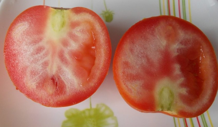 Білі прожилки в помідорах