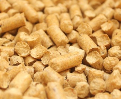 Покращую врожай у саду за допомогою дешевого наповнювача для кішкового лотка