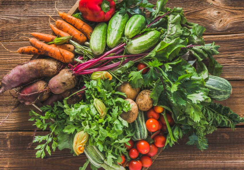 Овочівництво в Україні