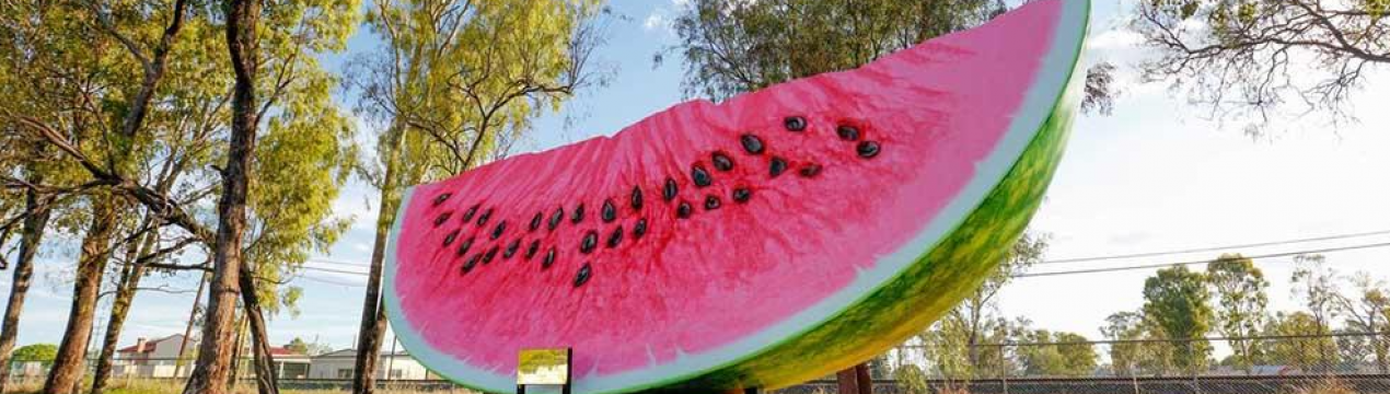 Українським фермерам вдалося виростити кавун-рекордсмен