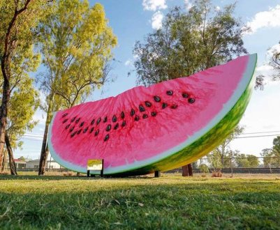 Українським фермерам вдалося виростити кавун-рекордсмен