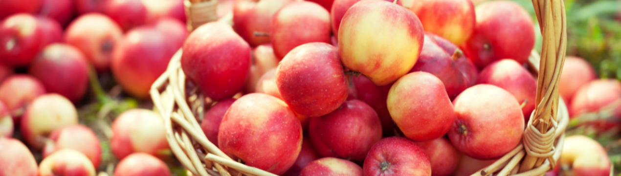 У цьому році українських яблук вистачить всім