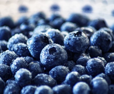 В Житомирській області знаходиться одна з найбільших плантацій черники в Європі