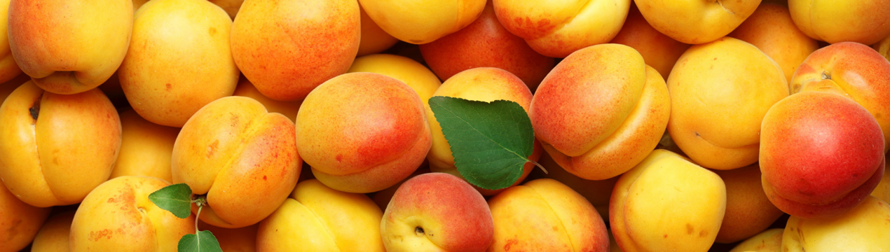 Українські абрикоси подорожчали