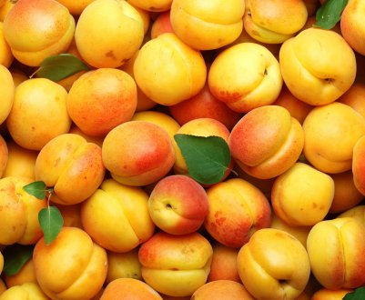 Українські абрикоси подорожчали