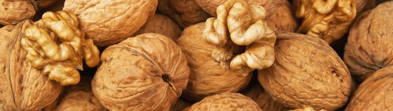 Експерти оцінили експортну вартість українського горіха в поточному сезоні