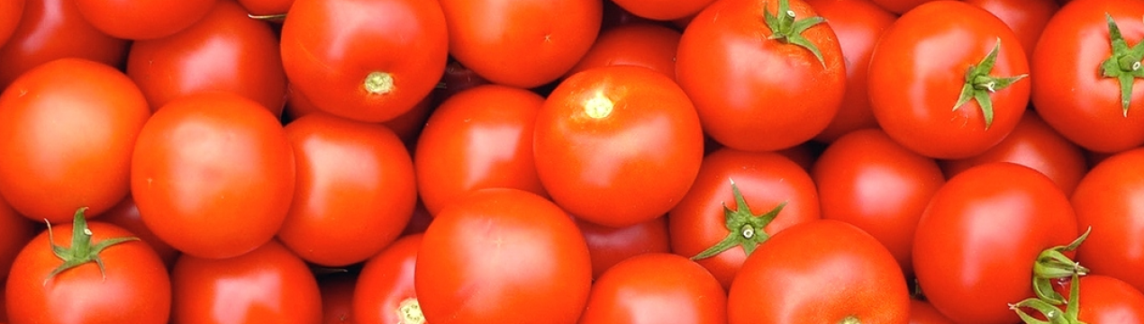У боротьбі з коронавірусом допоможуть помідори